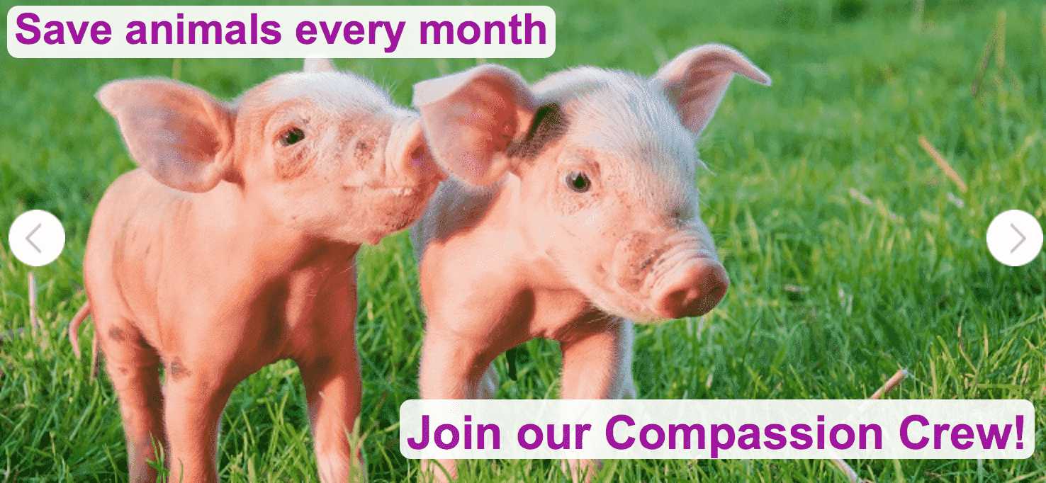 Screen Shot 2018-06-05 at 9.14.01 PM.png