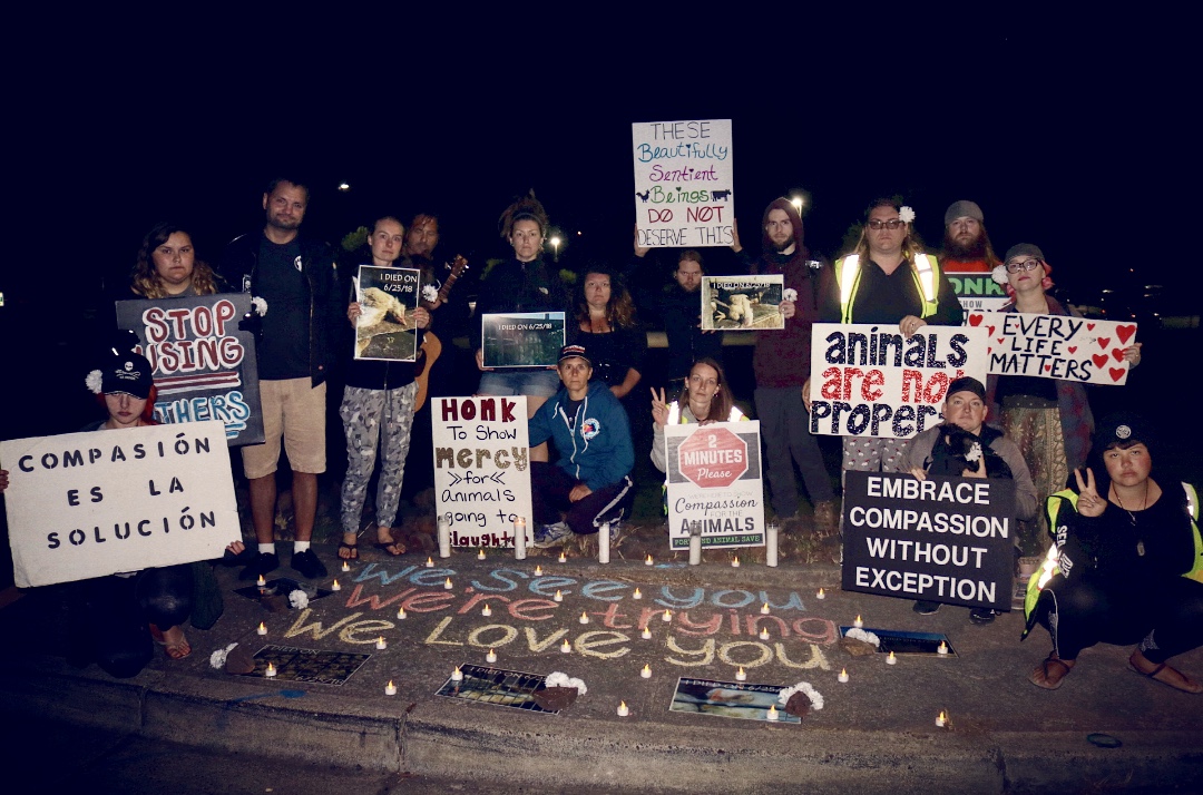 chickens slaughterhouse factory farming group vigil Save movement