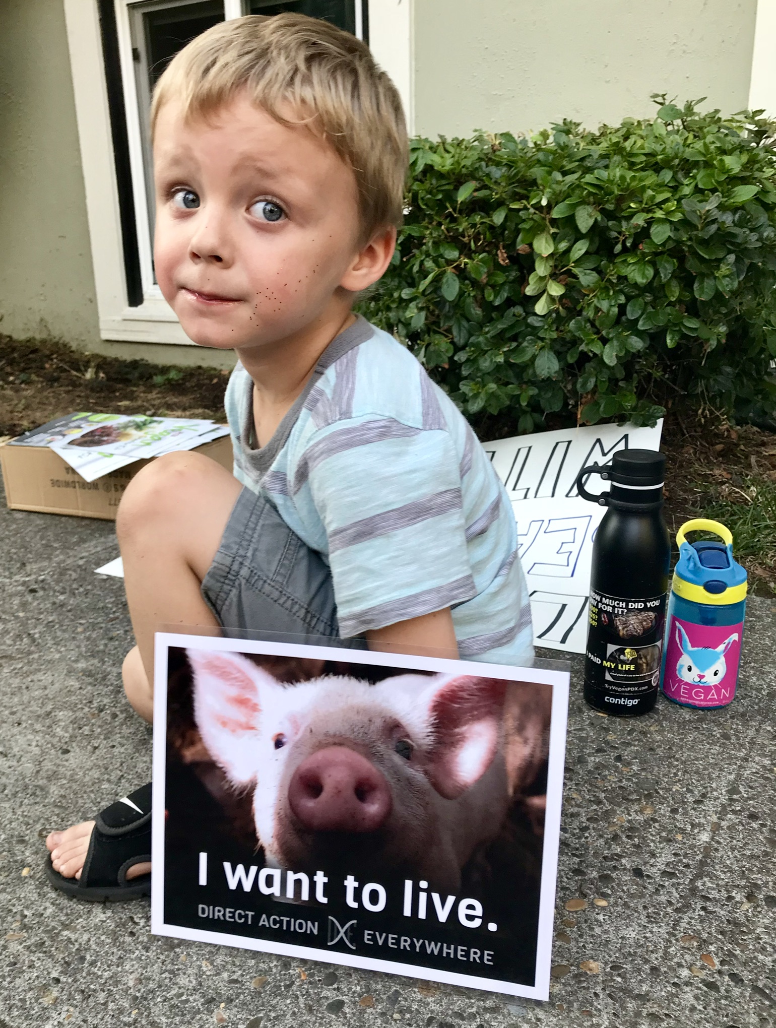 pig roast vegan kids cannabis farm stoner swines piglet