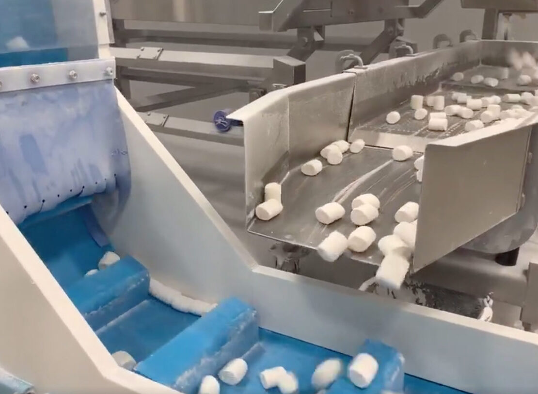 Vegan Mashmallows! Elysabeth Alfano Takes Us To the Dandies Marshmallow