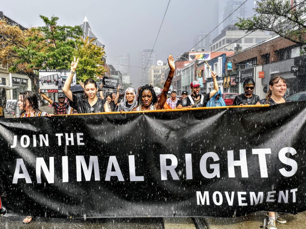 Join The Animal Rights Movement! - UnchainedTV
