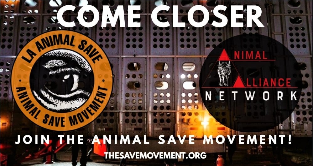 Joaquin Phoenix is Featured in LA Animal Save Billboard Campaign! -  UnchainedTV