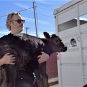 Joaquin Phoenix saves animals