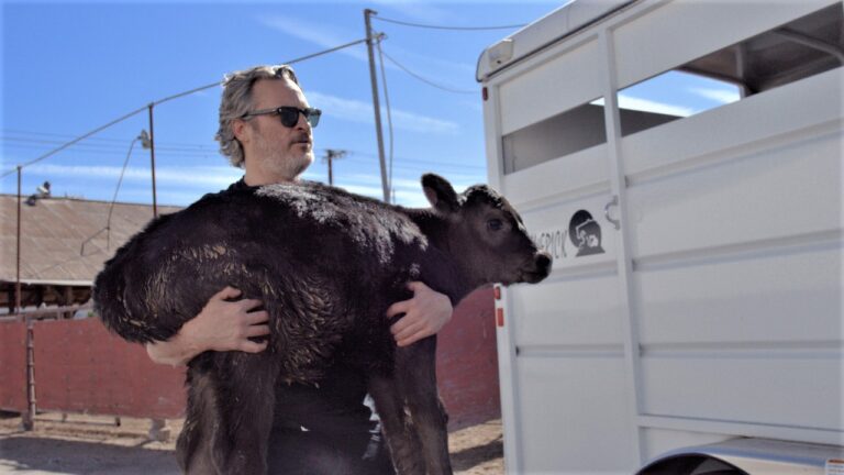 Joaquin Phoenix saves animals