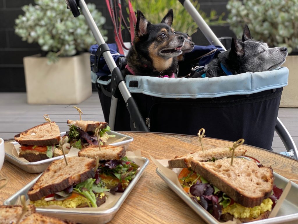 vegan tuna sandwich LunchBreakLIVE