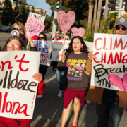 Protest against Ballona Wetlands destruction