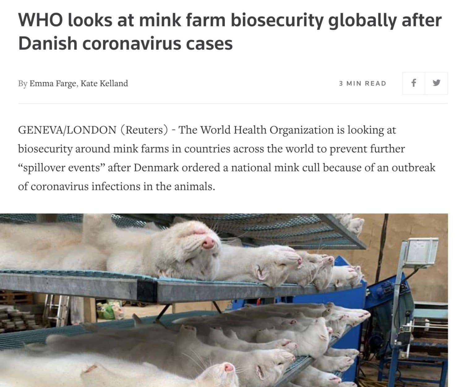 Instead of calling for the end of the mink trade, the WHO talks about biosecurity.