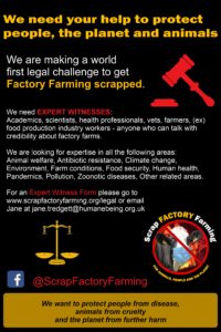 Poster from the Scrap Factory Farming Campaign asking for expert witnesses