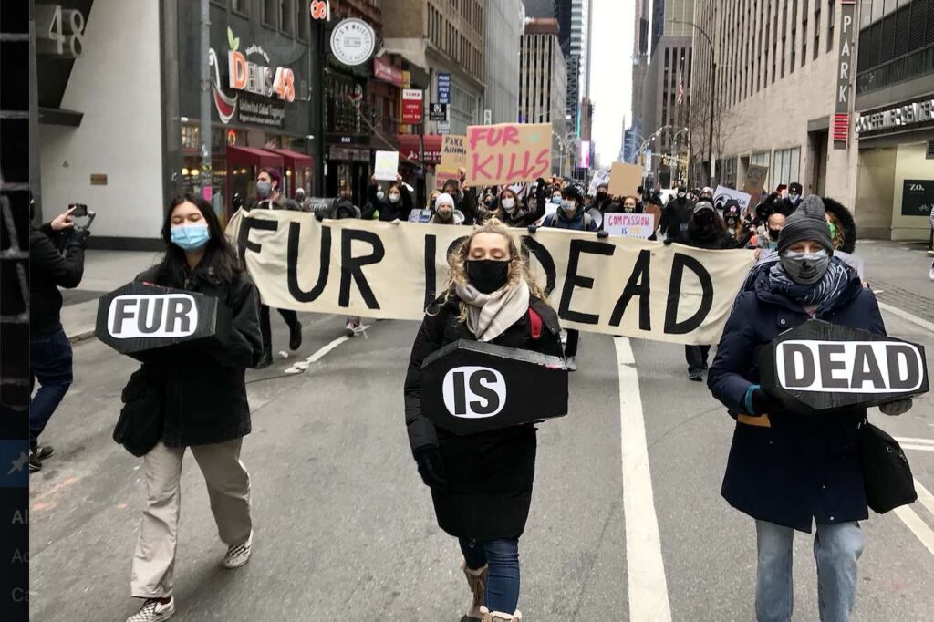 Anti-fur demo