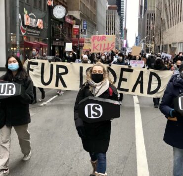Anti-fur demo