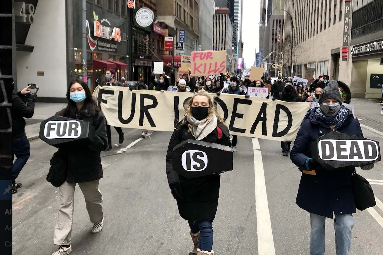 Anti-fur demo
