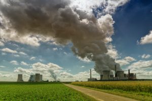 climate crisis factory farming