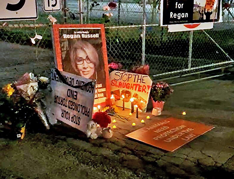 Memorial with the photo of a woman, signs and candles