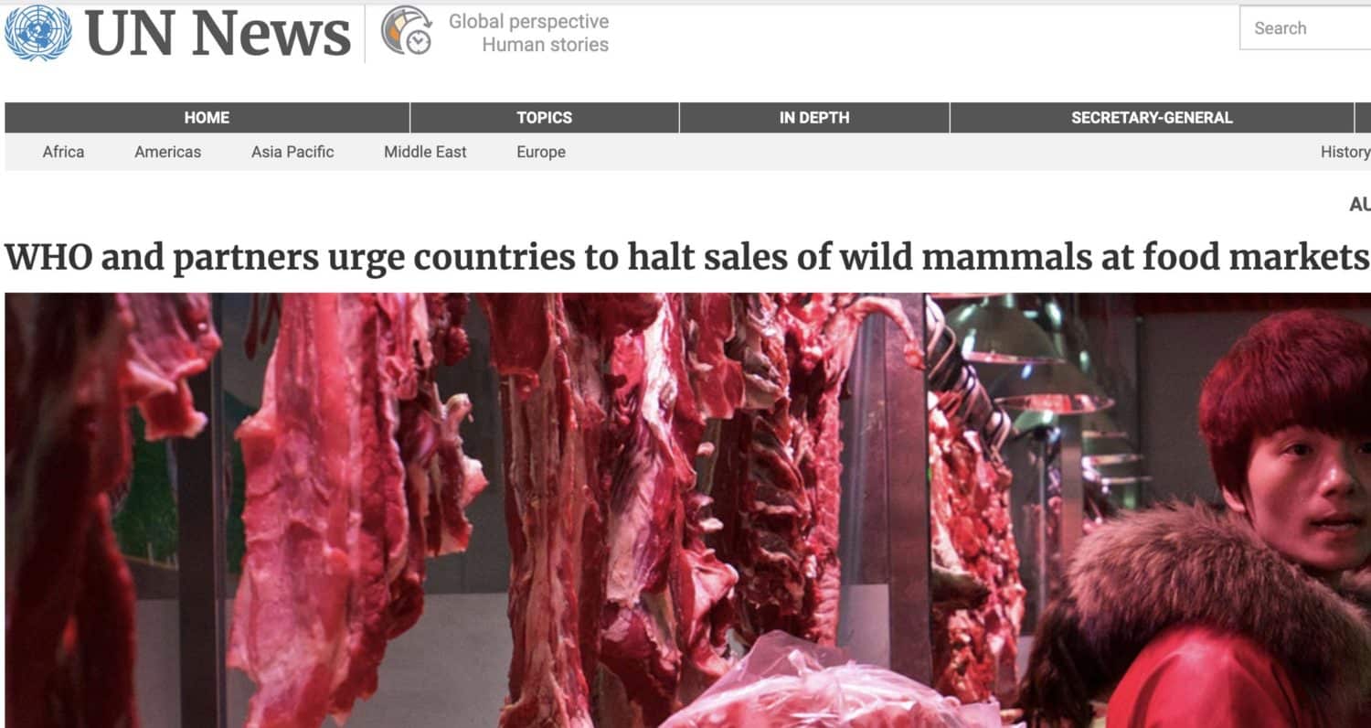 WHO urges end to wild animals in wet markets