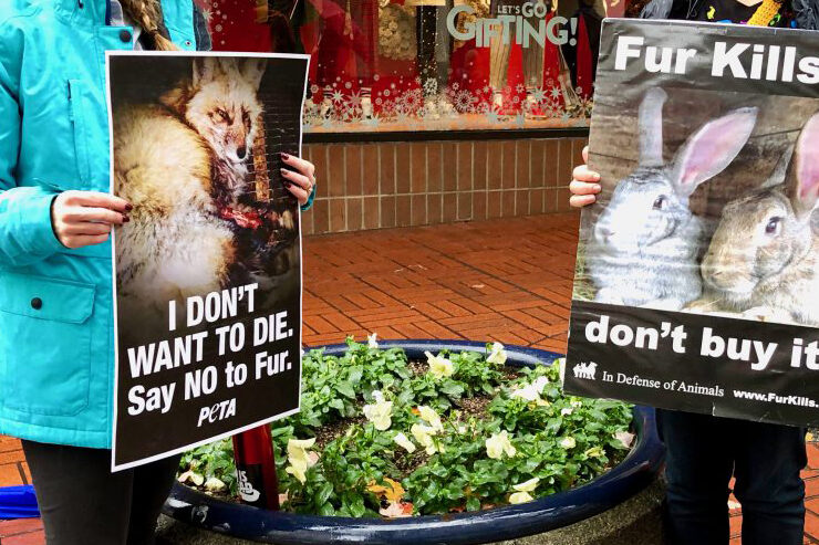Two people with anti-fur placards