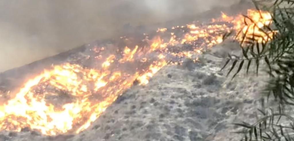 Climate change fires