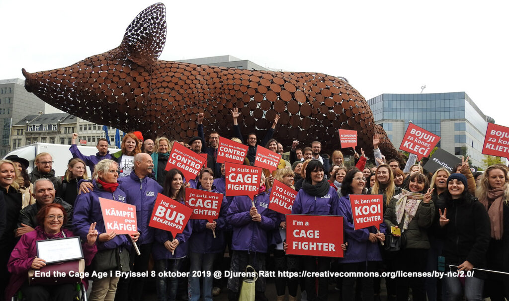 Demostrators with anti-cage banners in front of a pig statue