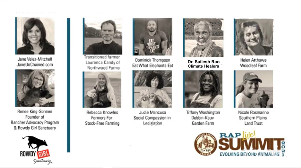 Head shots of the 10 panellist of the RAP Summit