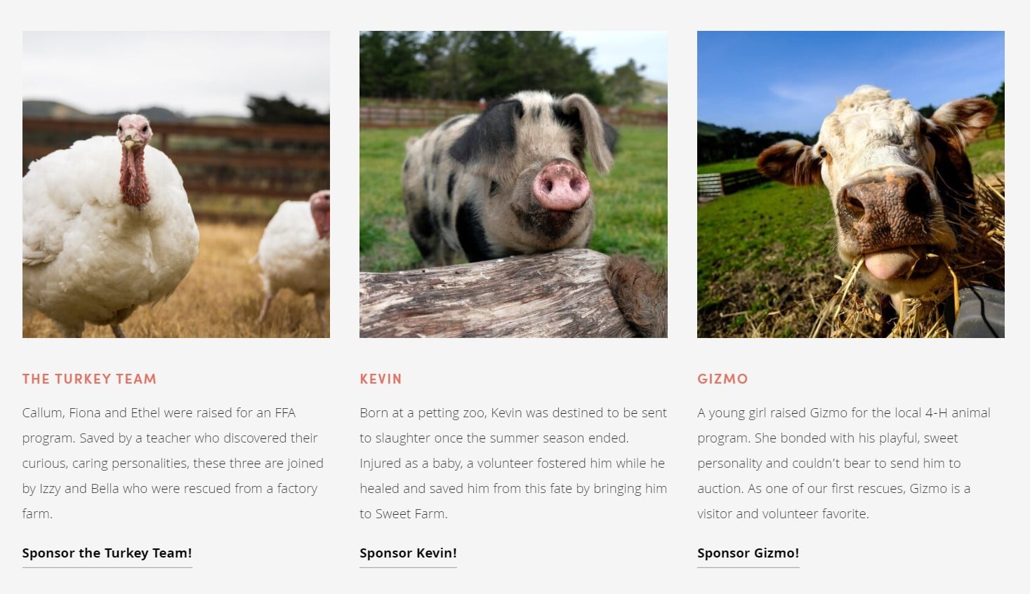Capture from website showing three images of rescued farm animals (turkey, pig and cow)