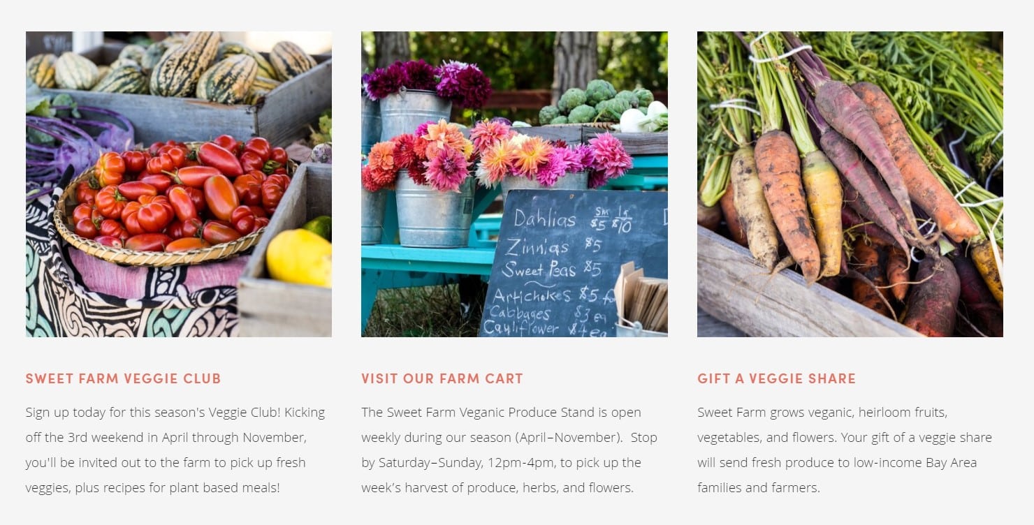 Capture from website showing three images of vegetables