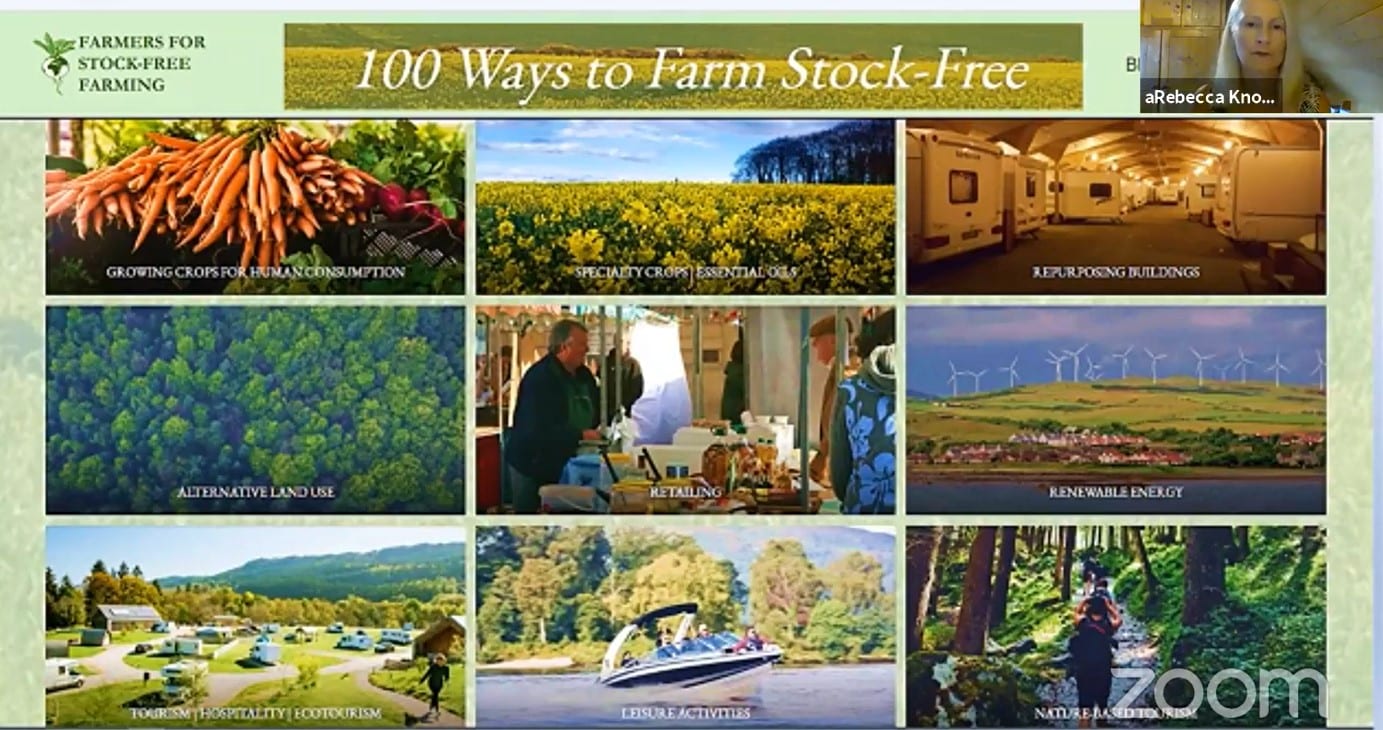 Webpage of Farmers for Stock-Free Farming showing six images of alternative activities to animal farming