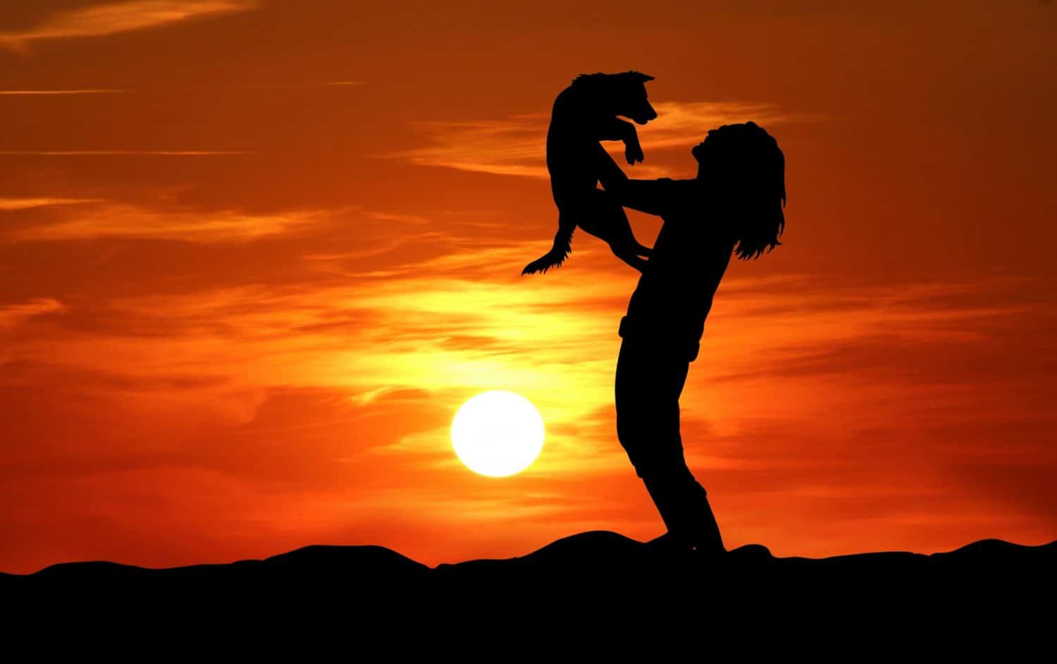 Silhouette of woman holding dog in front of sunset