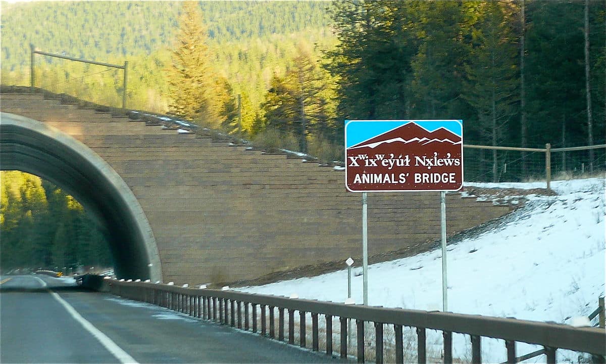 Wildlife crossing on a bridge over a road, by a sign anouncing it in wto languages