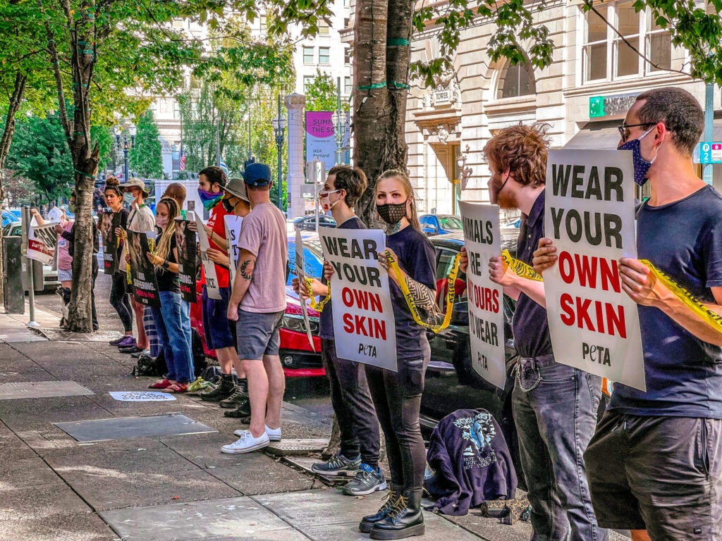anti fur