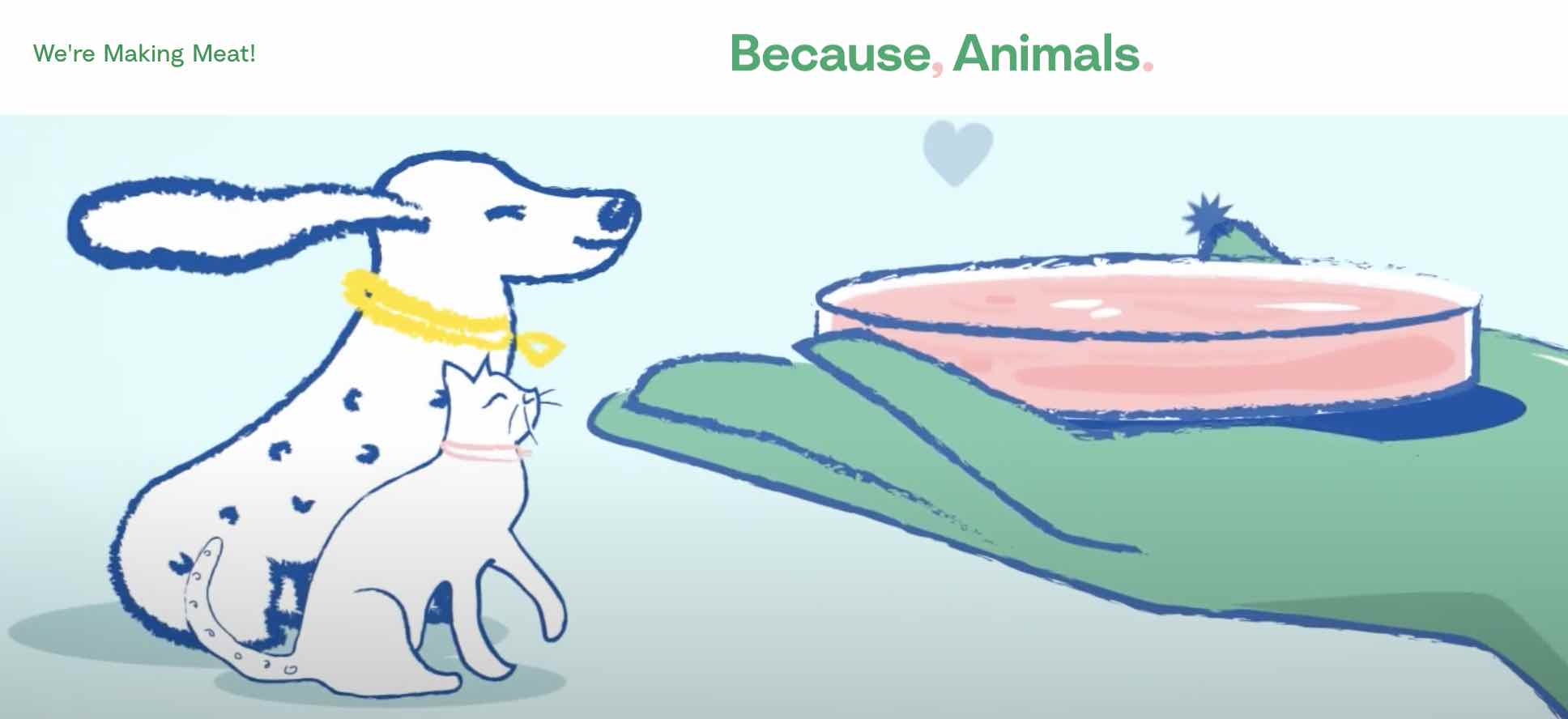 Lab meat for pets