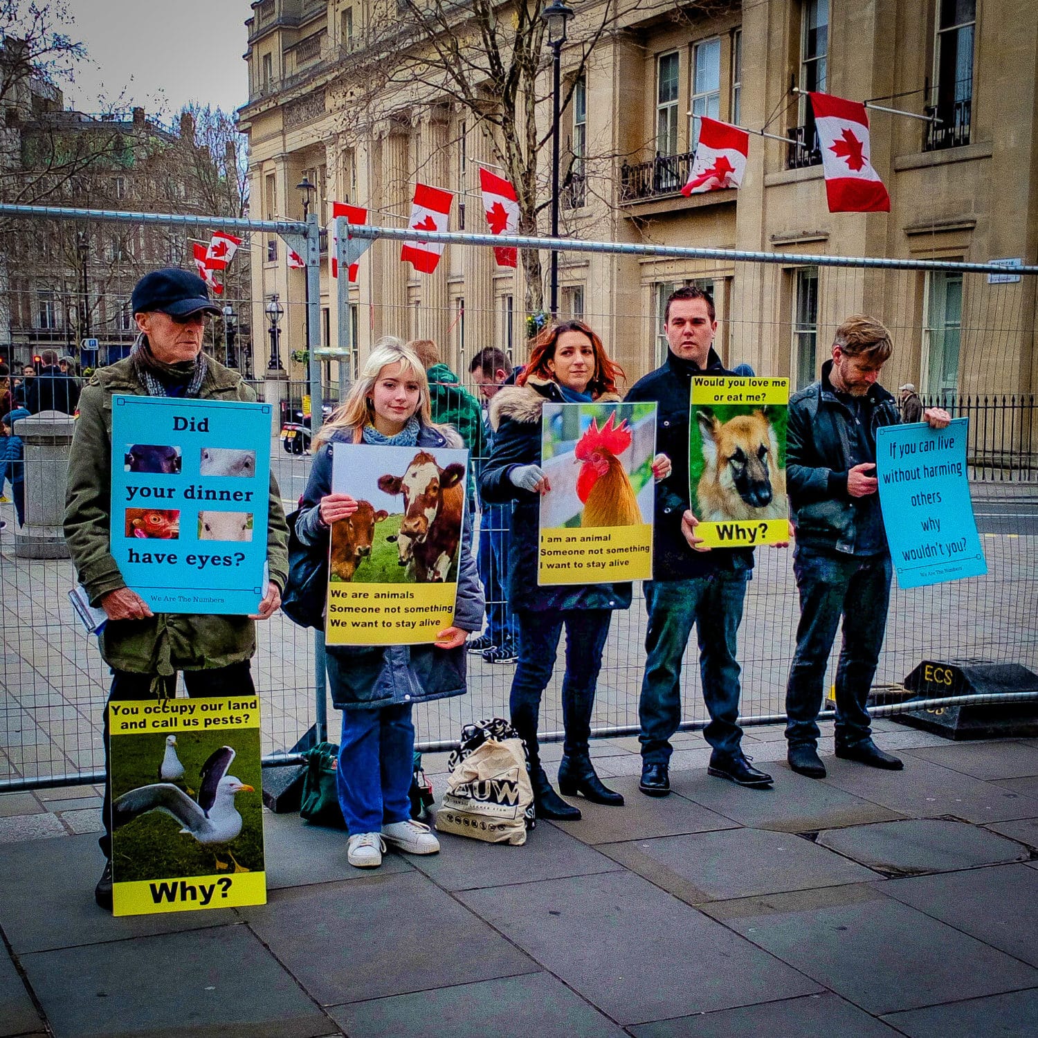 vegan activists with vegan placards demonstrating for systemic change