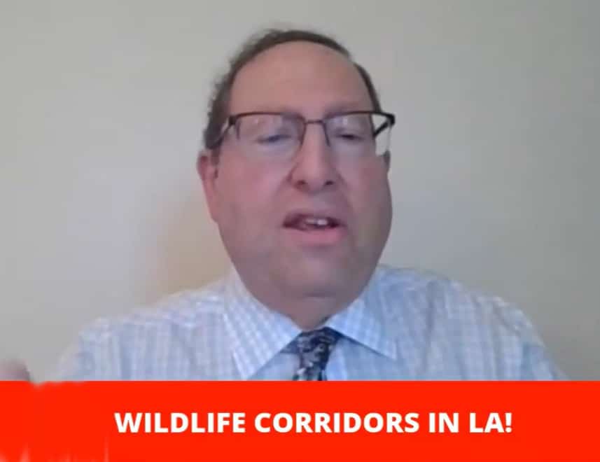 L.A. City Councilmember Paul Koretz in a zoom meeting about wildlife corridors