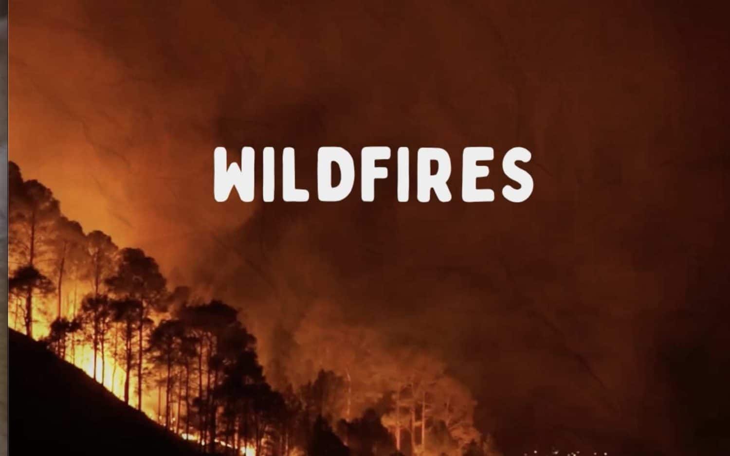 Wildfires are devastating many parts of the world due to man made climate change.