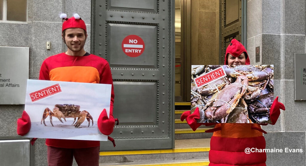 Two demonstrators dressed as crustaceans with placards in front of a UK Government building