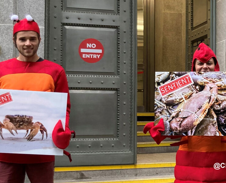 Two demonstrators dressed as crustaceans with placards in front of a UK Government building