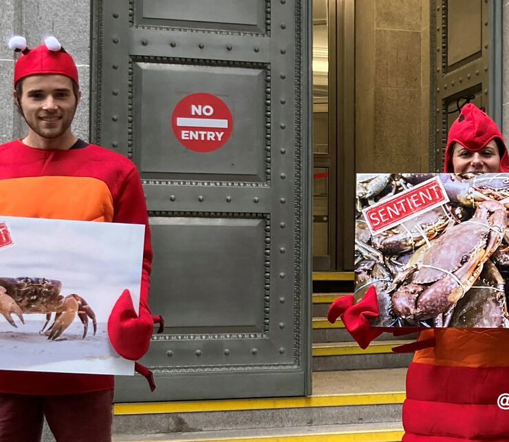 Two demonstrators dressed as crustaceans with placards in front of a UK Government building