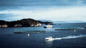 Boats bypass a large fish farm.