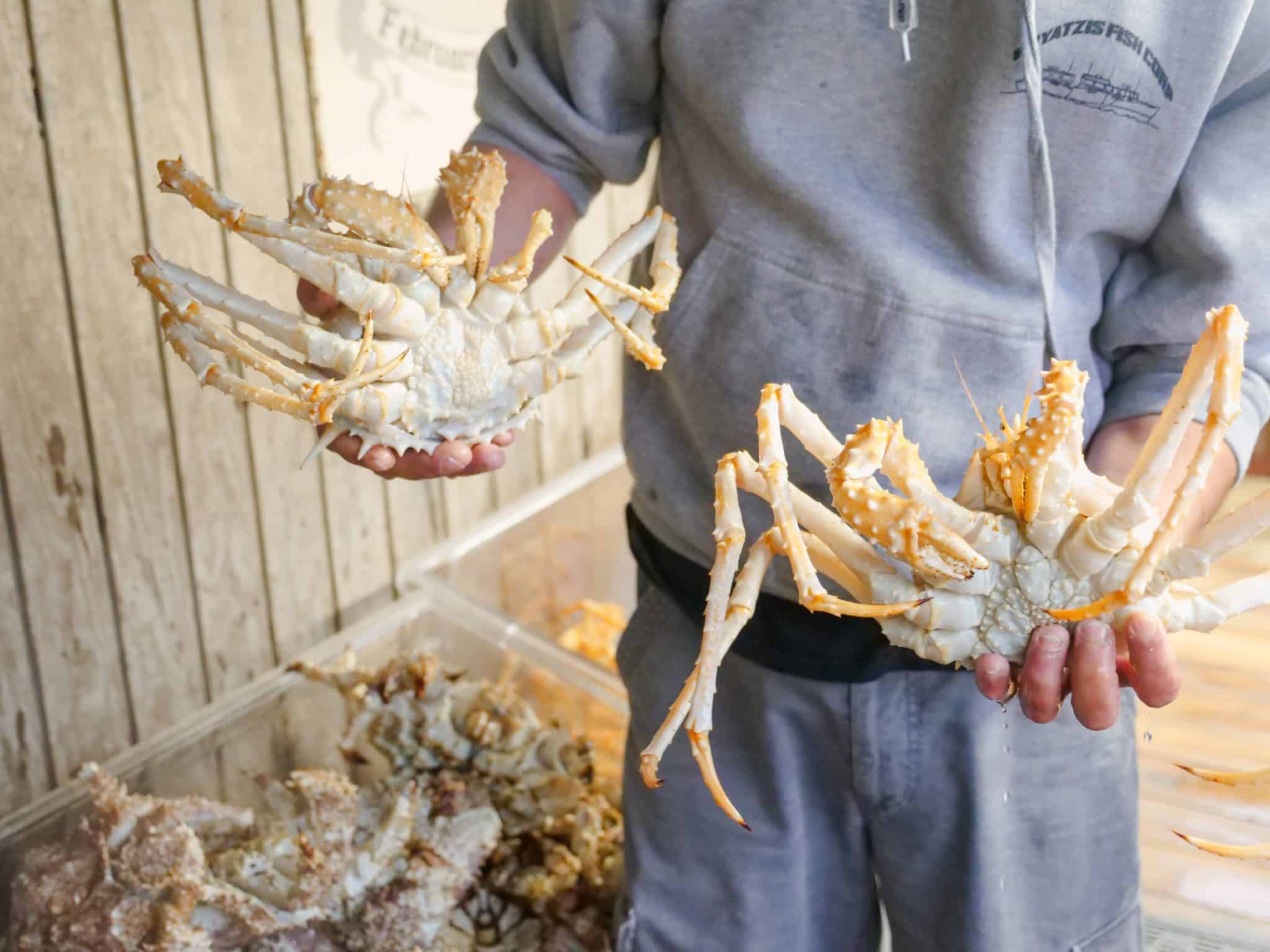 Man holding two crabs