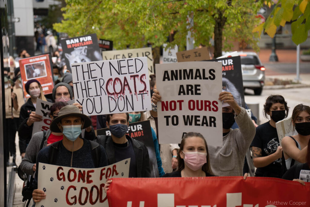 Protests against the sale and wearing of fur swept through numerous cities.