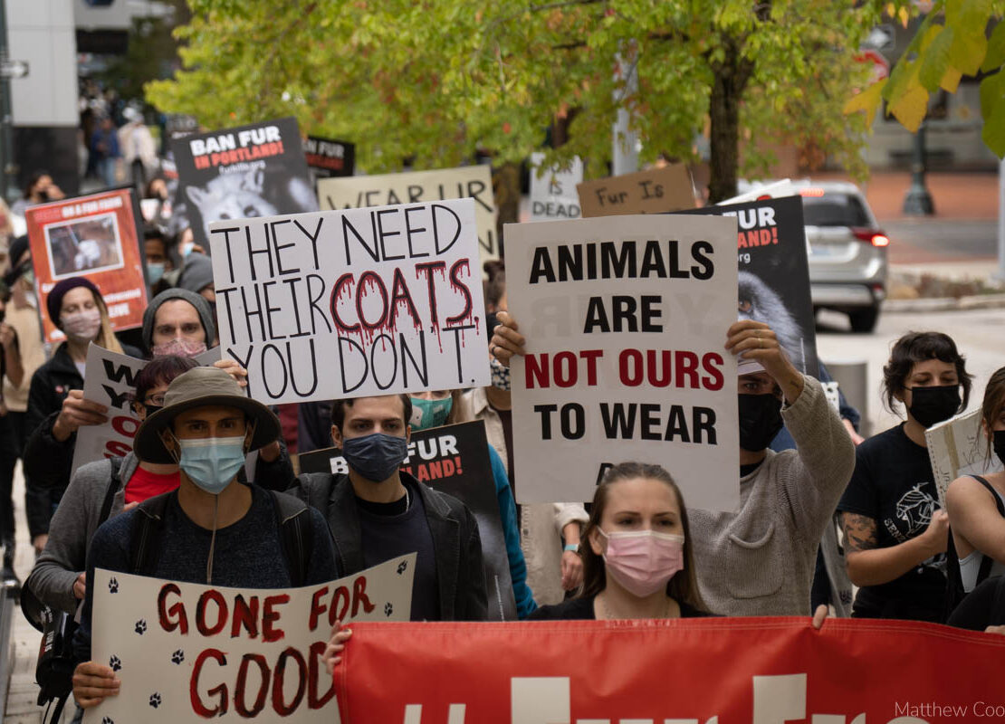 Protests against the sale and wearing of fur swept through numerous cities.