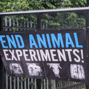End Animal Experiments Banner