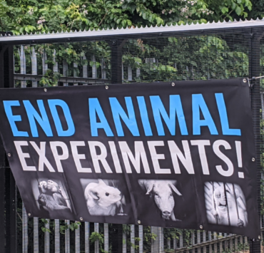End Animal Experiments Banner
