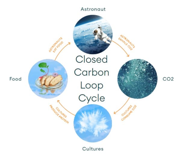 Close Carbon Loop Cycle with four interconnected items