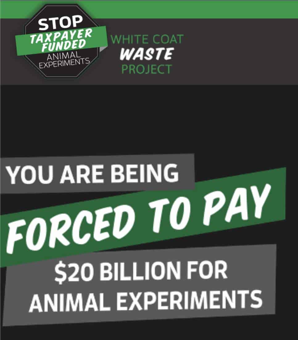 White Coat Waste's Mission: End Animal Torture in Labs