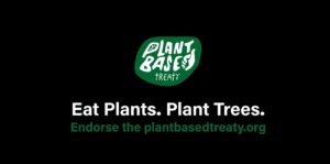 The words Eat Plants Plant Trees