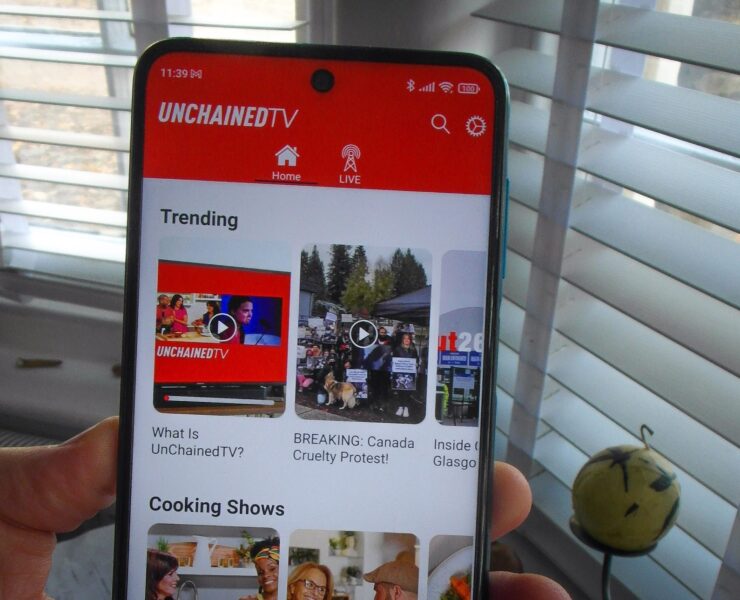 Phone showing the UnchainedTV app