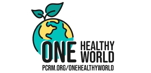 One Healthy World