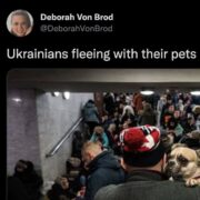 Ukrainian Refugees with pets