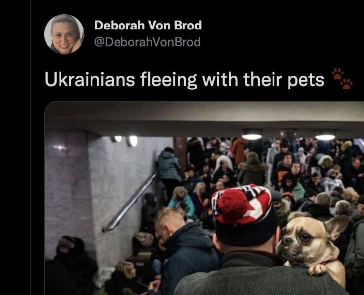 Ukrainian Refugees with pets