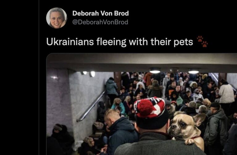 Ukrainian Refugees with pets