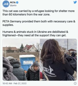 Refugees fleeing Ukraine are walking along distances in frigid temps with their animals. 